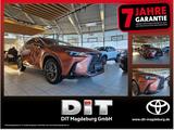 Lexus NX 350h Executive Line Inter.- und Tech.-Paket - Lexus NX 350h Tageszulassungen