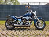 Harley-Davidson FLSTN/F Fat Boy/Deluxe Custombike Vergaser - HARLEY-DAVIDSON 1994