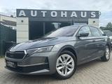 Skoda Combi 2.0 TDI 110 kW Selection RS-Sportsitze 360