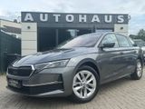 Skoda Combi 2.0 TDI 110 kW Selection RS-Sportsitze 360 - Skoda Octavia: Sports