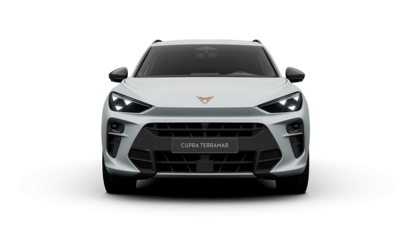 Cupra Terramar - Bild 3