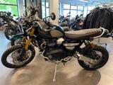 Triumph Scrambler STEVE MC QUEEN  - TRIUMPH ENDURO SCRAMBLER