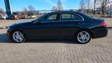 Mercedes-Benz E 200 Autom. - - Mercedes-Benz E 200: Grün