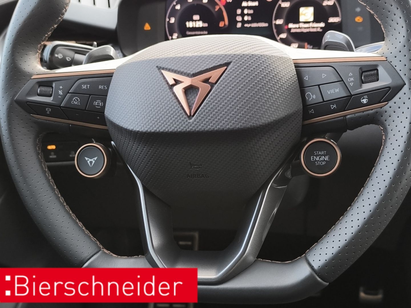 Cupra Terramar - Bild 25