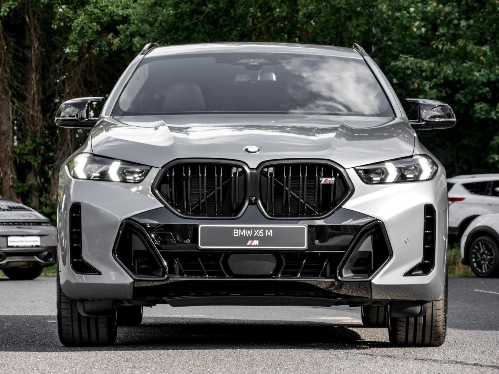 BMW X6 M60 - Bild 18