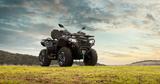 CFMOTO Cforce 520 L ABS Allrad 4x4 t3b ( eh. LOF ) - QUAD ALLRAD
