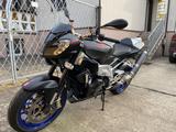 Aprilia RSV 1000 RR Tuono - APRILIA RSV 1000 TUONO