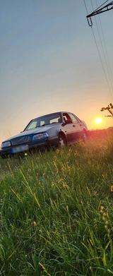 Volvo 460 GLE 1996 125PS, mit Tüv bis Nove... - Volvo 460 Benziner Gebrauchtwagen