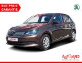 Skoda Fabia 1.0 MPI Clever Klima Sitzheizung Bluetooth - Skoda Fabia Gebrauchtwagen