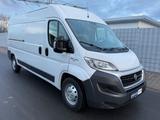 Fiat Ducato Maxi 130 L3H2 RS: 4035 *KLIMA *TÜV - Fiat Ducato: L4h3