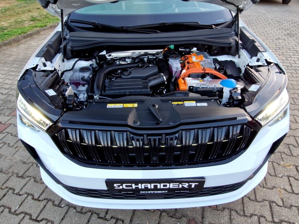 Skoda Kodiaq 1.5 TSI iV Sportline DSG Matrix Navi AHK 