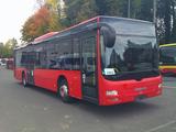 MAN A 20 Lions  City, Deutscher Bus,  ID: 1843 - MAN Lions