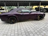 Dodge Challenger R/T 6.4l - Dodge Challenger aus 2021