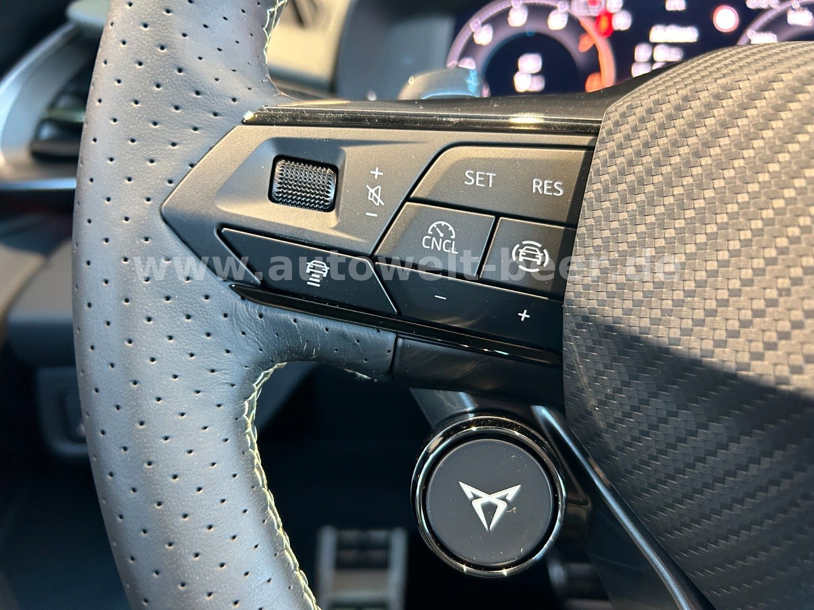 Cupra Terramar - Bild 7