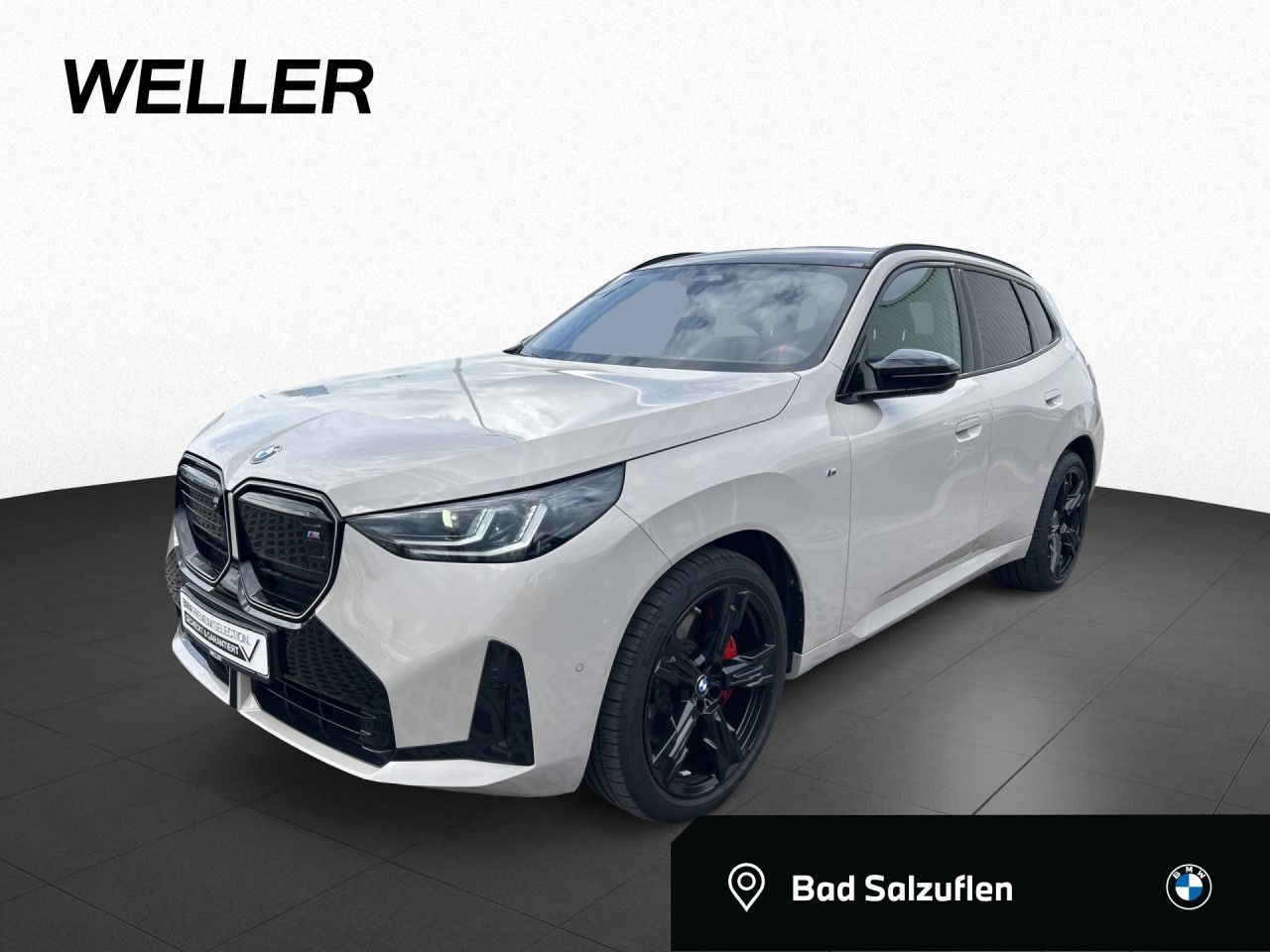 BMW X3 M50 xDrive M Pro AHK 21"  Leas ab 589 o Anz
