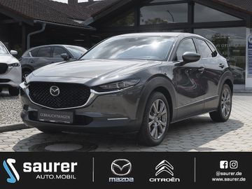 Mazda CX-30 Selection Des.P.Act.P.Leder360°DABHea