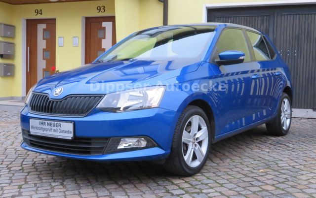 Skoda Fabia "Cool Plus"_Klima_Parkpilot_8 fach ber...