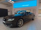Audi A5 Cabriolet 3.0 TDI quattro*S-Line*Magnetic*DSP - Audi A5: Cabrio, 3.0