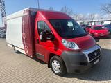 Fiat Ducato Maxi *Fischer*Fleischereiverkaufswagen* - Offers