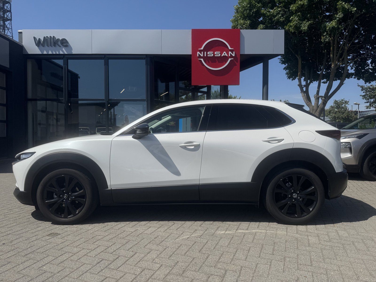 Mazda CX-30 2.0 e-SKYACTIV-G M Hybrid Homura/HEAD UP/N imagem 3