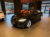 BMW 220d Cabrio M-Sport*Shadow-Line*Xenon*MwSt