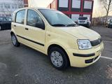 Fiat Panda 1.2 8V Dynamic TÜV&Service Neu - Fiat Panda Gebrauchtwagen in Hamburg
