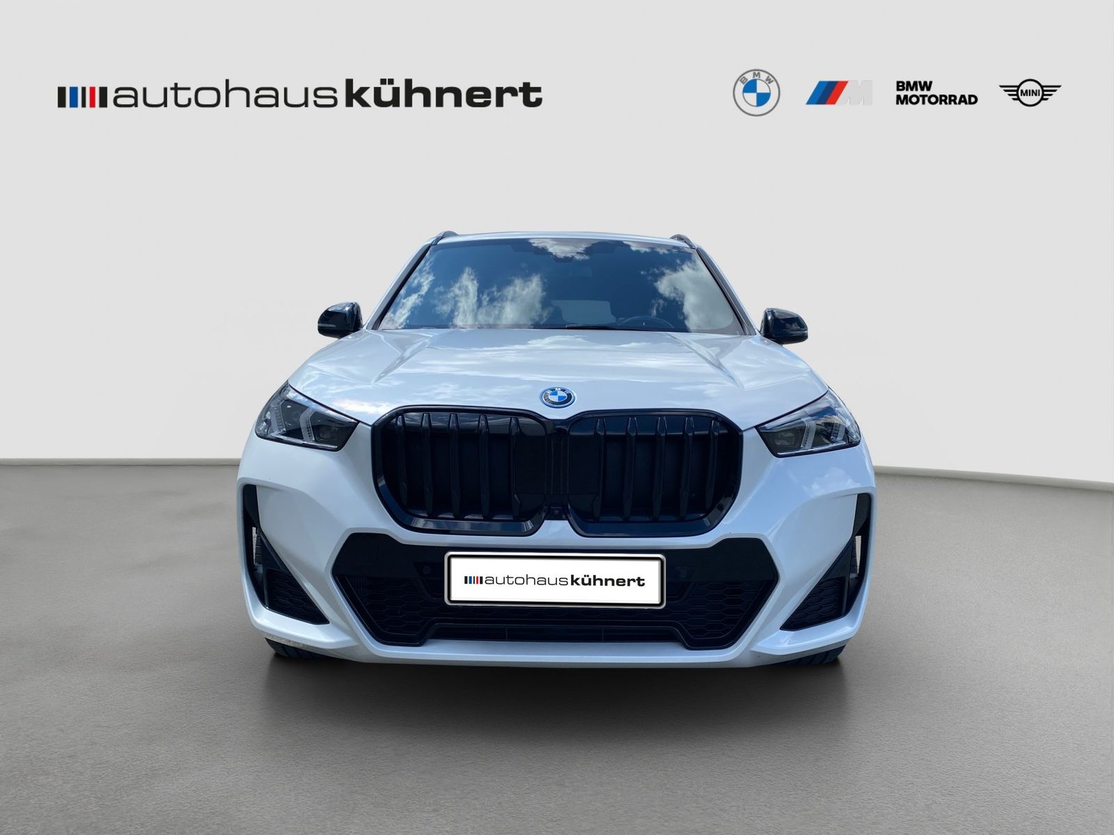 BMW X1 xDrive25e M-Sport ACC PanoSD SpurAss foto 3