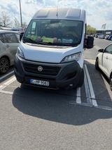 Fiat Ducato - Fiat Ducato Gebrauchtwagen in Dresden