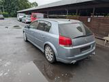 Opel Signum 3.2 V6 sehr viele Neuteile LESEN!!  TüV - Opel Signum: 3.2