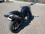 Ducati Monster Dark 600 - Caferacer Scrambler - Offers matching your search criteria