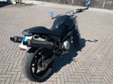 Ducati Monster Dark 600 - Caferacer Scrambler - Offers matching your search criteria