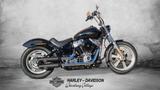 Harley-Davidson Softail Standard + Jekill & Hyde uvm. - Offers