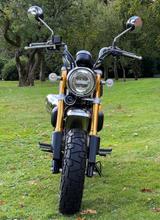 Honda Monkey - HONDA MONKEY