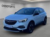 Opel Grandland Business INNOVATION X 2.0CDTI +AHK+WIN - Opel Grandland (X) aus 2020 mit Diesel-Antrieb