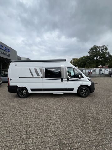 Carado CV 600 * Modell 2025 *sofort verfügbar*