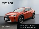 Lexus UX 250h Style Edition*LED*SHZ*Kamera*PDC*CarPlay - Lexus UX: Style Edition