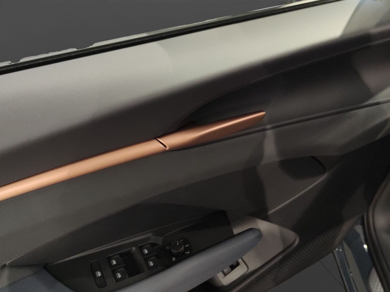 Cupra Terramar - Bild 18