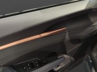 Cupra Terramar - Vorschau Bild 18