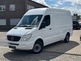Mercedes-Benz Sprinter 210 CDI Kasten L2H2 * wenig km * 2.Hand - Mercedes-Benz Sprinter: 210 Cdi