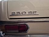Mercedes-Benz 250 - Mercedes-Benz 250 Limousine Gebrauchtwagen