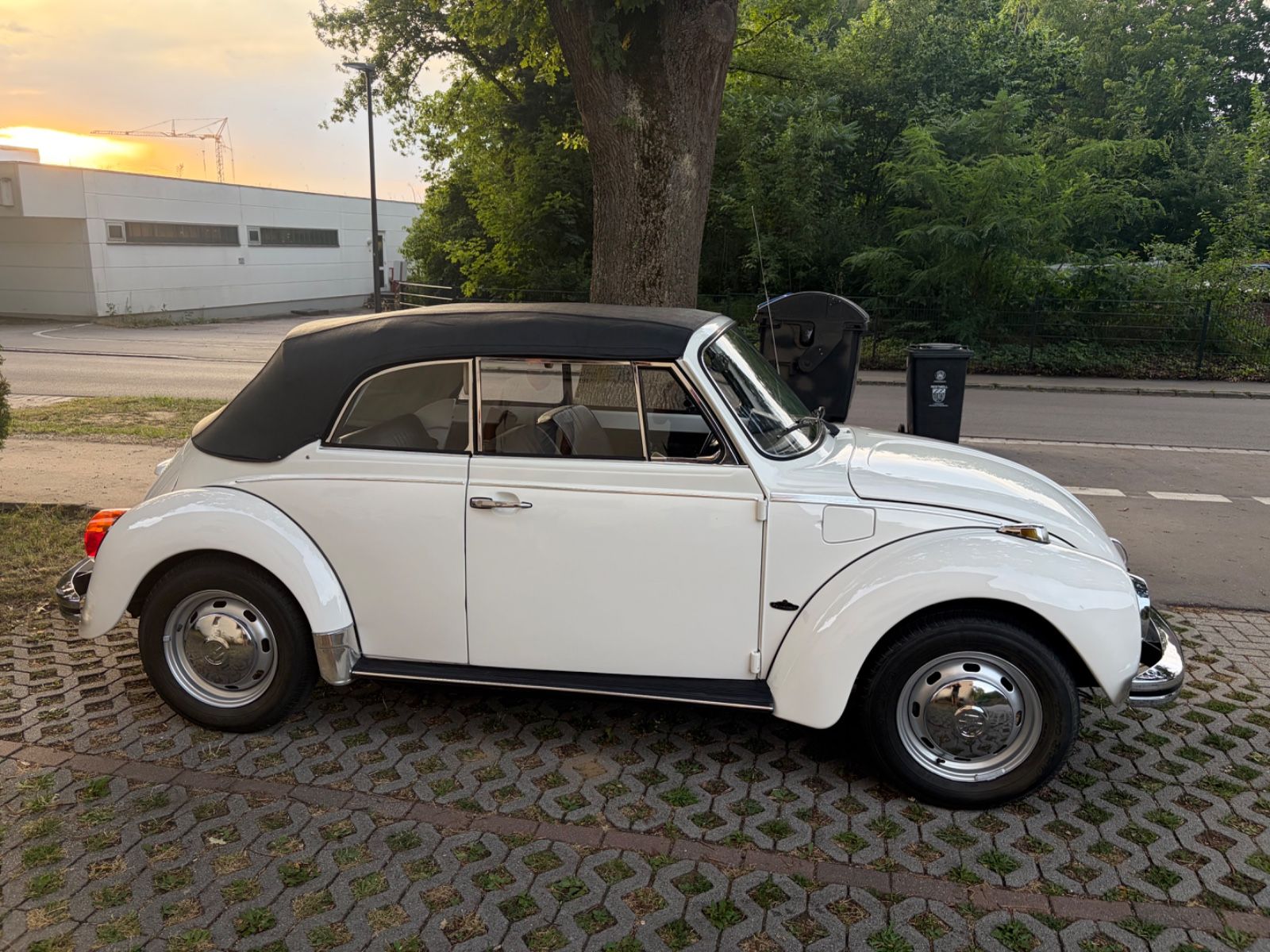 VW Käfer 4