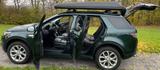 Land Rover *DiscoverySport*HSE*Motor 49000km*AHK*Dachreling