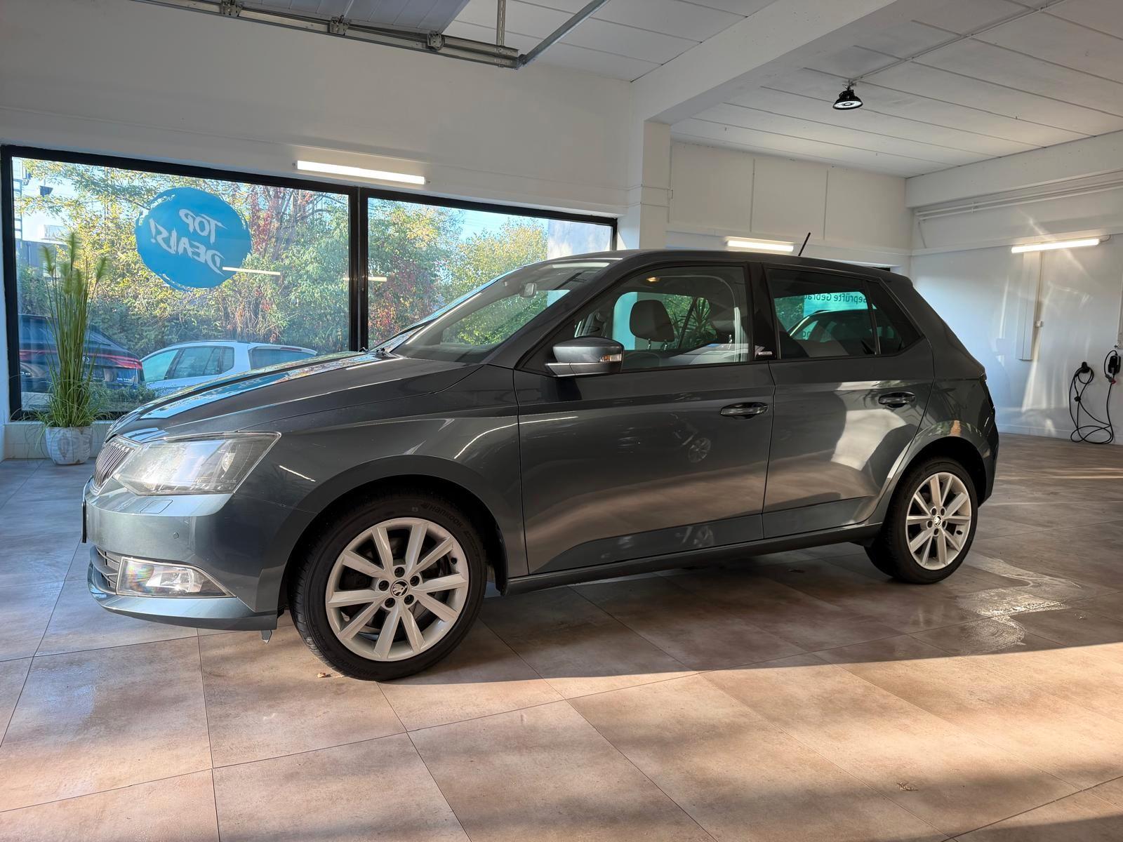 Skoda Fabia Joy*Autom.*Tempo*NAVI*8-fach bereift