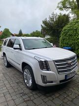 Cadillac Escalade 6.2 V8 Platinum  - Cadillac Escalade: V
