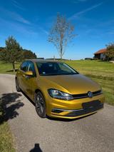 Volkswagen Golf 1.4 TSI 92kW Sound Variant Sound - mit Benzin-Antrieb: Gold, Kombi