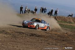 Fahrzeugabbildung Porsche 911 RSR Rallye