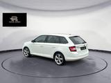 Skoda Fabia 1.0 Joy Klimatr.Einparkh.55KW - Skoda Fabia: 5j