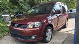 Volkswagen Caddy 1,6TDI 75kW DSG BMT Roncalli Edition 5... - Volkswagen Caddy: Roncalli Edition
