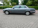 Jaguar XJ8 4.2 Liter - - Jaguar XJ8 von privat