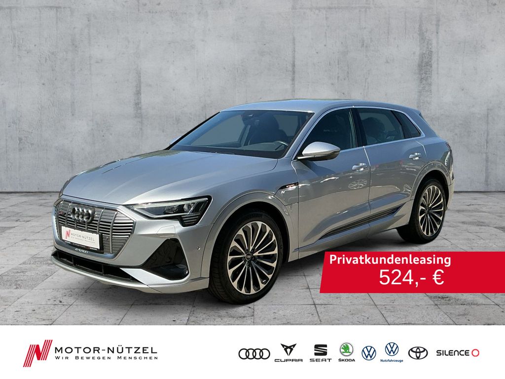 Audi e-tron 55 QU 2xS-LINE LED+NAVI+AIR+GRA+360°+21Z.